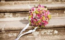 阳历如何根据不同星座进行分类划分?