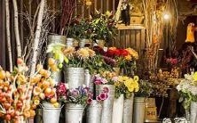 触动十二星座女少女心的事,让她们在瞬间拥有美好心情和愉悦体验