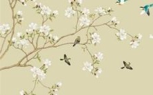 什么是那个能在相机上拍摄星座的应用程序的名称?