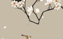 57年出生属鸡的女性,探究2022年的运势和展望