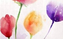 2022年属虎人本命年运势极佳!想知道属虎人在本命年会发生什么?快来探究一下吧!