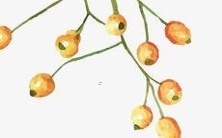 震撼人心的古代皇后美名,令人陶醉的历史传奇女子称谓