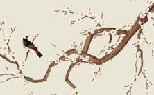 1964年属龙的女性58岁生肖龙,2022年每月详尽运势解析!