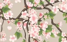 生女宝宝在虎年不利?看看属虎女的运势如何!