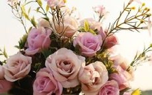 尽管面临重重困难,这些星座绝不妥协,坚持不懈地追求自己的目标