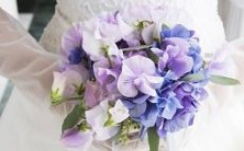 改写: 坚韧不拔、毫不动摇——不会低头求援,也不会妥协讨好的星座女生