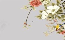 探究哪个星座最喜欢追逐新鲜感而厌倦旧习惯的行为习惯?