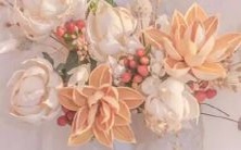 元旦节即将到来,想知道十二星座会选择待在哪里过节?