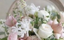 婚姻匹配该以属相还是星座为标准?