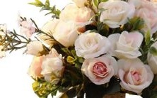 12星座心中最令其为之倾心的女神,她们是谁?