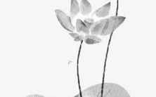 2022年属虎人运势:是否有贵人相助?属虎人2022年运势如何?