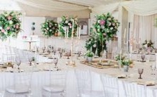 这些星座的奶奶都是超级溺爱狂,让孙子从头宠到脚!