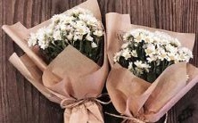 哪个星座的人最具幽默感?- 一探12星座幽默细胞的奥秘