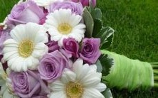 这三个星座有着众多桃花,但却面临着难以遇见真心的挑战