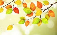 如何解读梦中出现的玫瑰花:探寻玫瑰花在爱情中象征的意义与美好含义