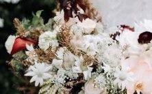 哪些星座的面容看起来总比实际年龄要年轻呢?