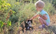 对个人健康的影响:关于靠近腋窝部位的前胸痣的健康相关问题的探讨