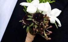 - 破解射手座女生开放性格:探究其心理特征与人际互动模式