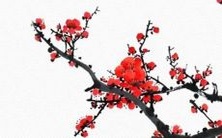 深入探讨:金牛座女生在性与情感方面的宽容度及心态特质