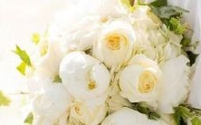 哪个星座最不畏惧异地恋,而能够维持长久且健康的关系?