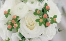 如果十二星座成为神灵,它们将会变成怎样的神灵呢?