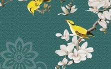 如何应对文化冲突?学习星座:十二星座在出国留学中的解决策略及经验分享!