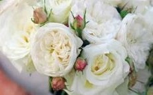 这些星座展现着无坚不摧的力量,他们的坚强绝不容忽视