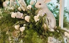 十二星座中缺乏表达能力的星座