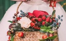 十二星座男女配对全解析:从性格到相处方式,你最适合哪个星座?