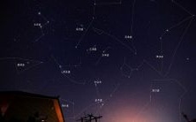 排名最低的星座智商排行榜:哪些星座女性被认为最为愚蠢?