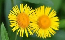 当梦中的车子掉入坑中时,这意味着什么?