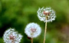 做梦经历:在梦中见到一位人类变成了具有长颈鹿特征的生物