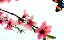 一窥好听的小爱神男孩名字:寻找适合你的独特命名建议