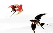 农历六月出生的虎到底属于哪一类虎?