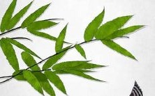 2022年48岁的鼠男全年运势报告