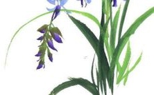 探寻黄色动漫女孩的身份与名字的全貌