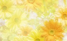 探究双鱼座的恋爱轨迹:他们的个人魅力如何影响着他们在何年纪遇见真爱?