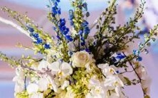 揭秘天蝎座女性如何通过观察男人使用惯用手段征服女性的行为心理学 - 以月亮天蝎座视角为例