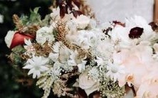 这些星座女对爱情投入全情,无所不用其极地表达对你的热爱