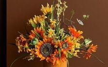 从低谷到高峰:探究摩羯座命运的逆袭之路