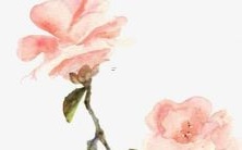 寻找美妙的四字战队名称