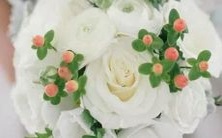 有何迹象?哪些星座女在人们眼中因其直率而有时让人讨厌?