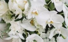 经历公交性骚扰的十二星座女性:她们的故事、坚强与勇气