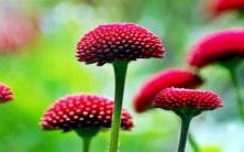 当梦到朋友的死亡或结婚时,这代表了什么意思与暗示?