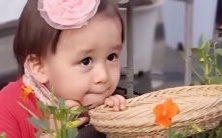 属猪与属兔的夫妻配对:财运与子嗣展望,探究属猪和属兔宝宝应该选择哪个生肖属相?