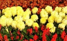 揭密上升星座为水瓶座的女性:她们大部分人生轨迹平凡,却也能获得无数幸福