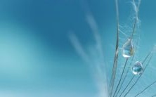 鼠年属相是否适合组成夫妻关系:探究同生肖鼠之间的姻缘是否带来财源广进