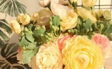 哪些星座是被视为拥有典型好吃懒做特征的代表?