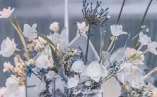 非常注重稳定,不擅长探险却善于守成的星座排名