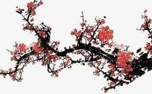 探寻最优美的梁姓男孩命名方案:诞生仅属于你独特韵味的超美名字!